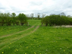 Lumps and bumps show roads, walls and some buildings. This field gateway just happens to be reusing one of the entrances to Durobrivae, the wall was just beyond the hedge.